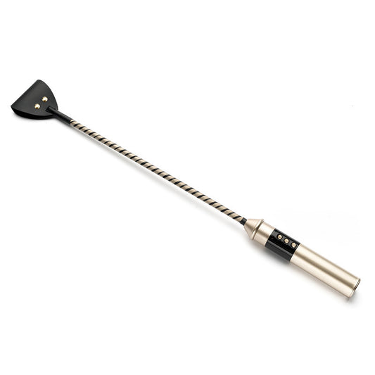 Electric Shock Whip To Regulate Adult consenting play